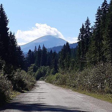 Говерлянка Villa Vorochta Exteriör bild